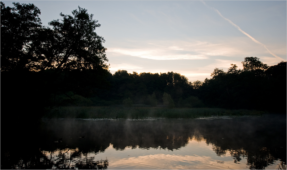 Morgen am Aprather Mühlenteich