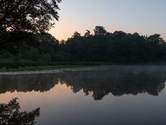 Morgen am Aprather Mühlenteich