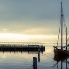 Morgen am Boddenhafen Dierhagen