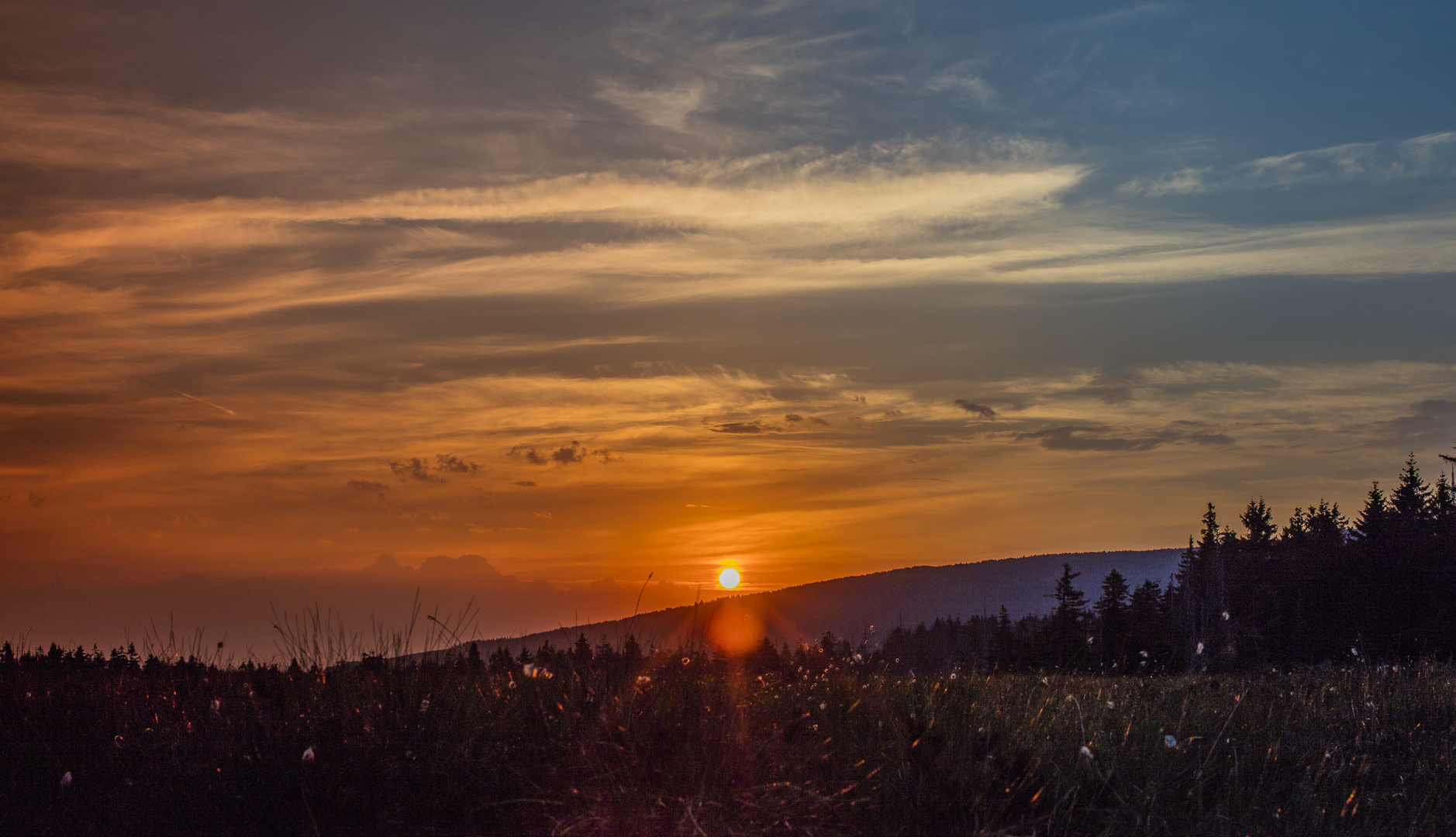 Morgen am Brocken