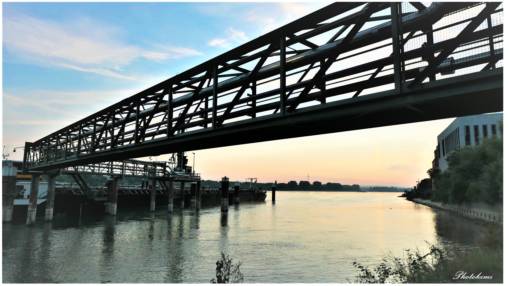 Morgen am Budenheimer Hafen (2)