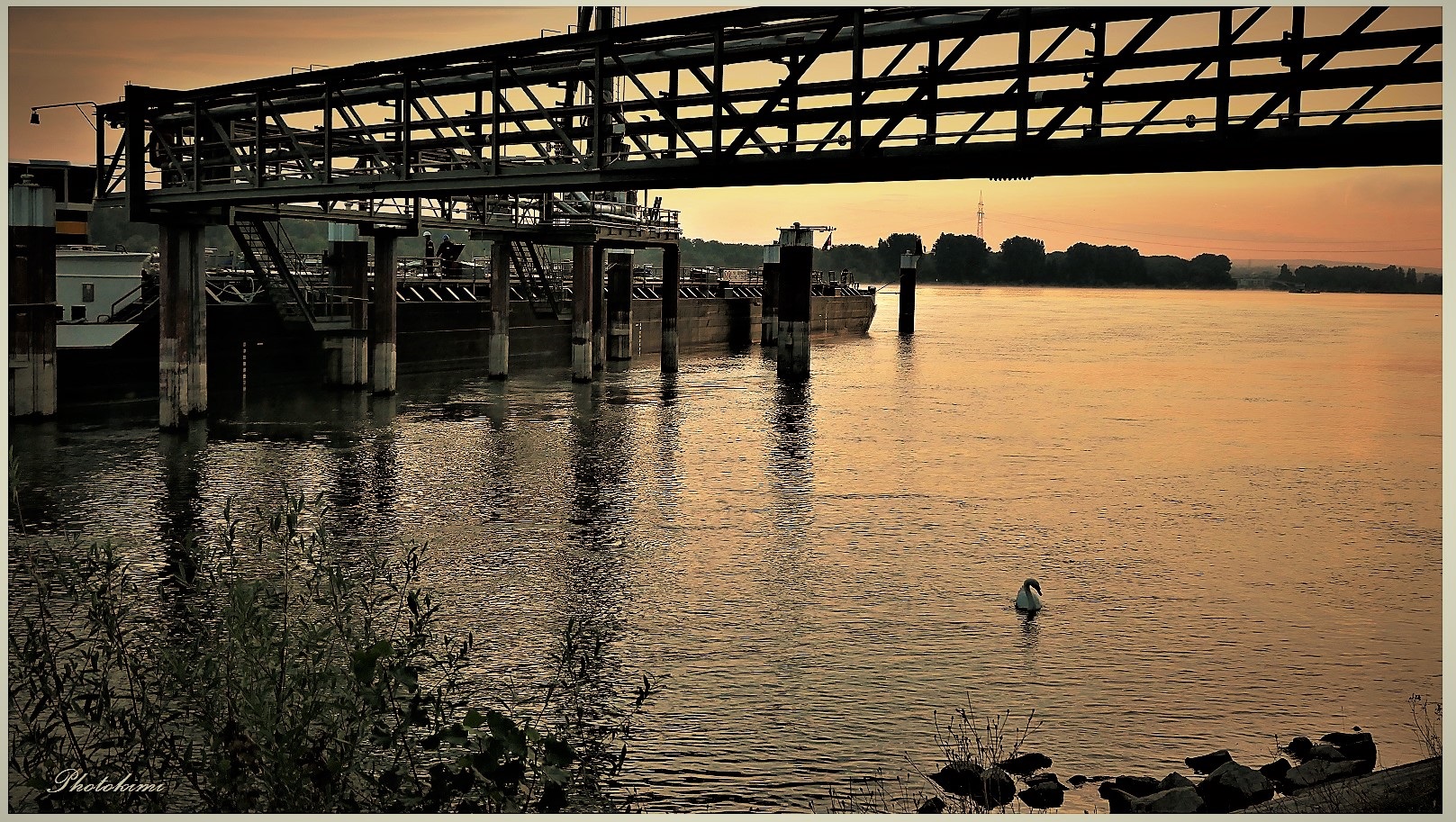 Morgen am Budenheimer Hafen (III)