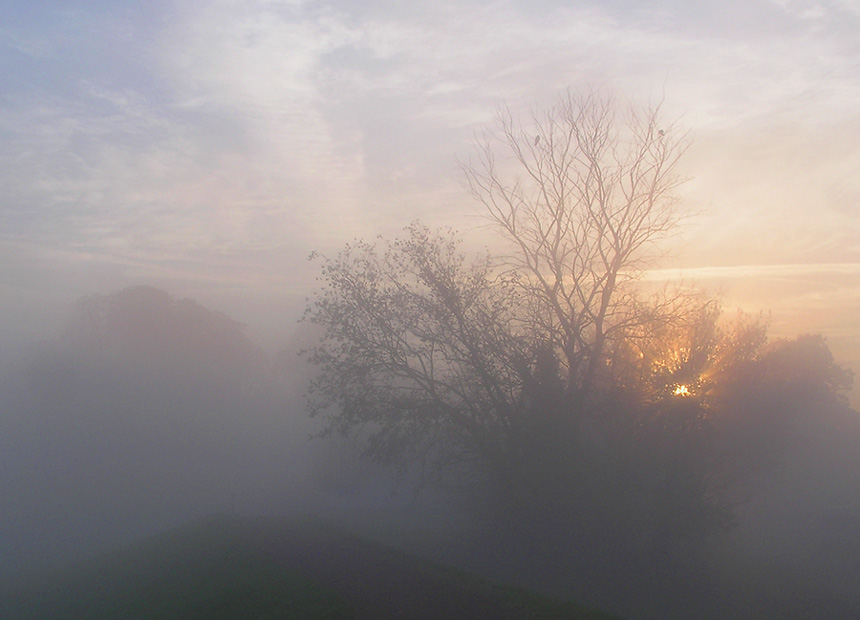 Morgen am Elbdeich