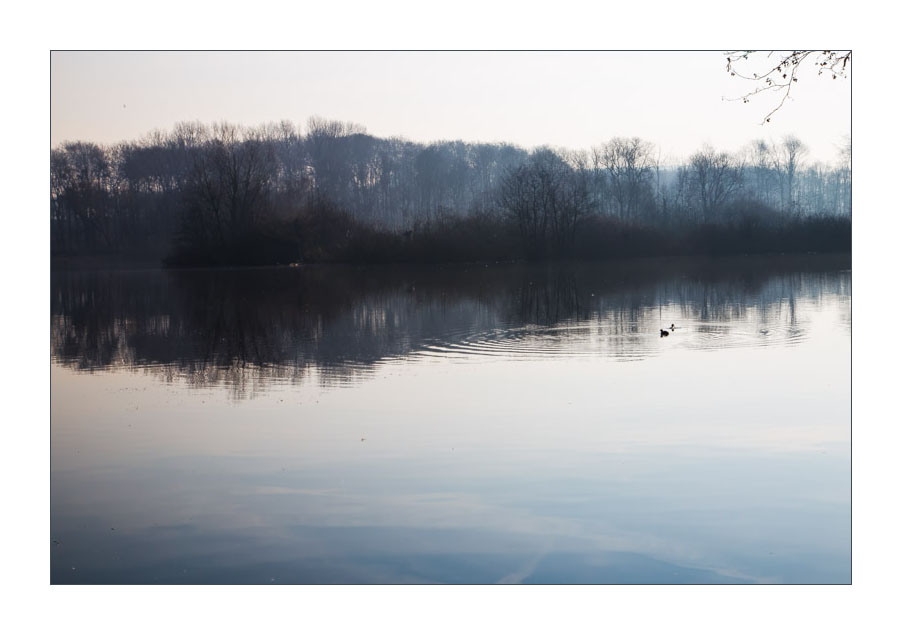 Morgen am Ewaldsee