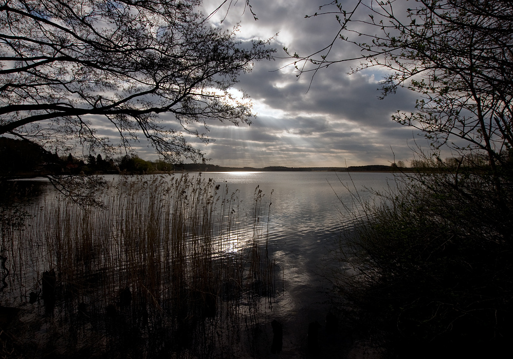 Morgen am Feisnecksee 2