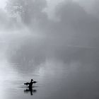 Morgen am Fischweiher