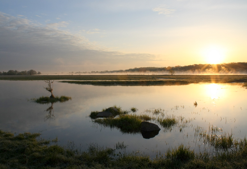 Morgen am Fluss