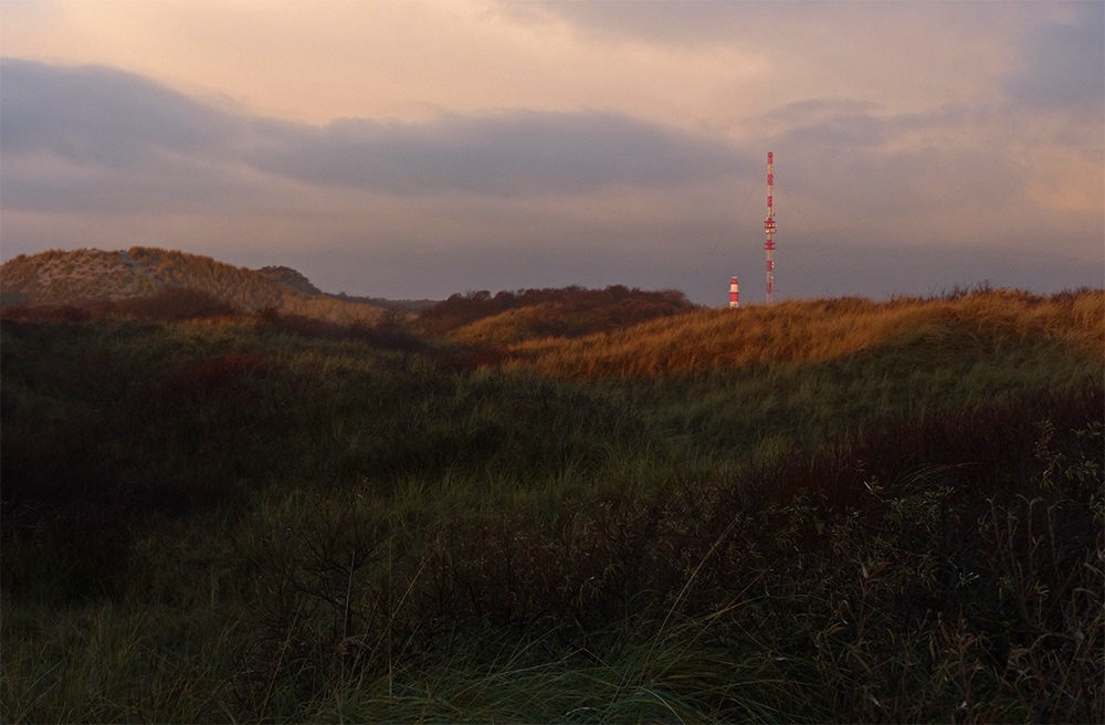 Morgen am Funkturm