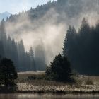 Morgen am Geroldsee