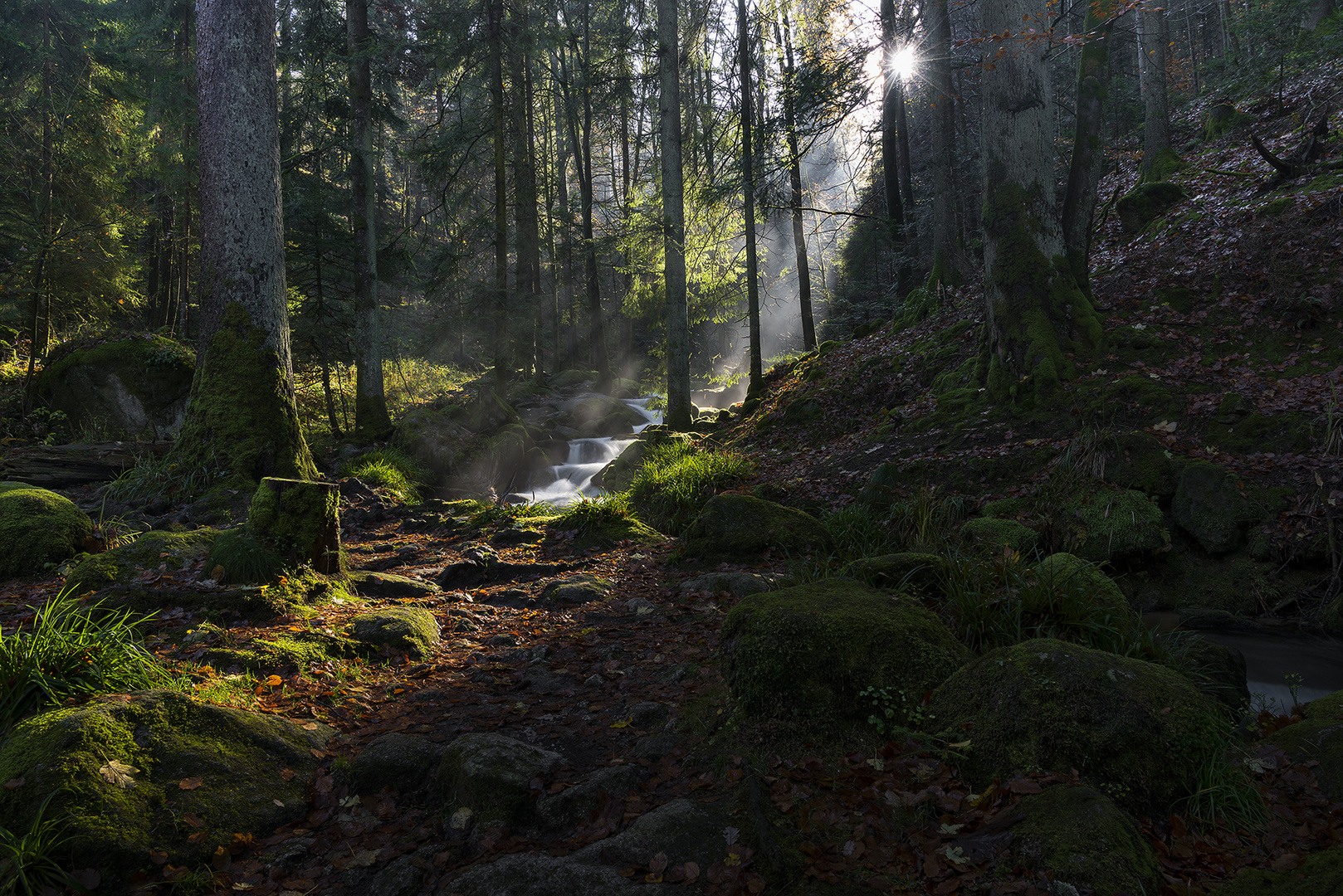 Morgen am Gertelbach