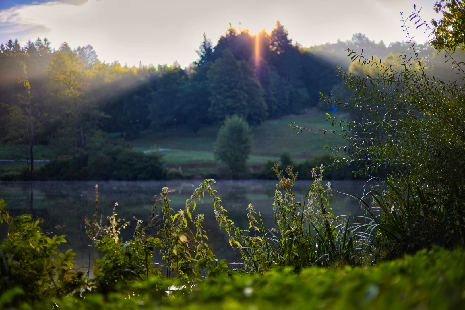 Morgen am Götzenbachsee 