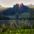 Morgen am Götzenbachsee 