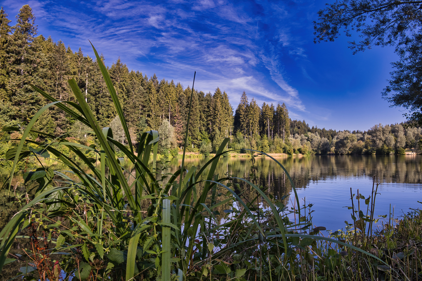 Morgen am Götzenbachsee 