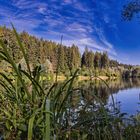 Morgen am Götzenbachsee 