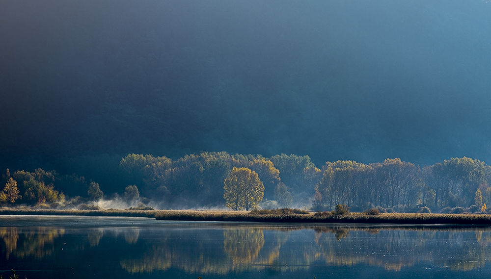 Morgen am Kalterer See