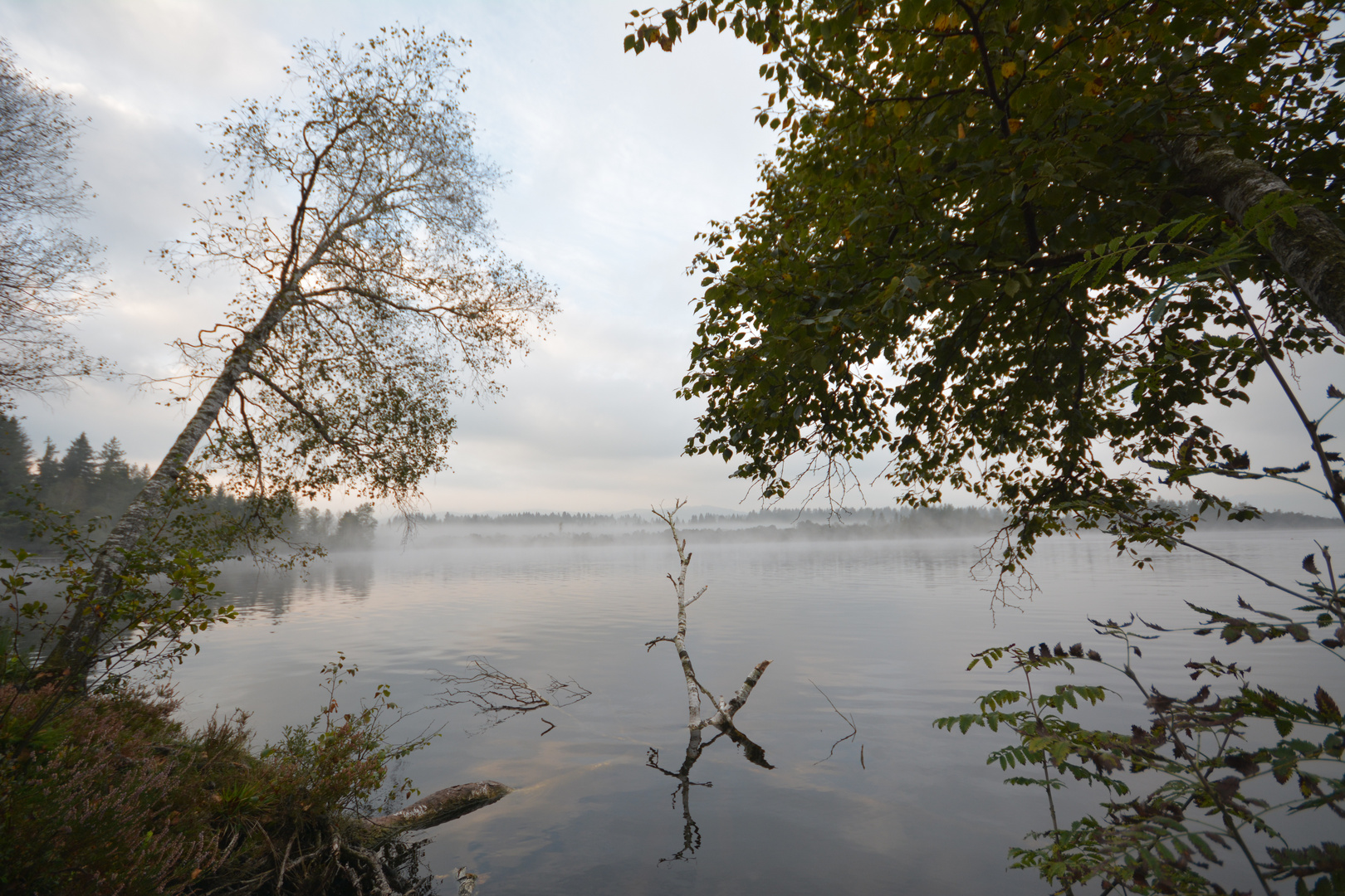 morgen am kirchsee