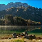 Morgen am Langbathsee