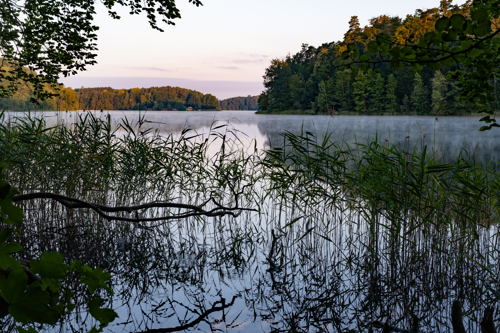 Morgen am Liepnitzsee