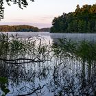 Morgen am Liepnitzsee