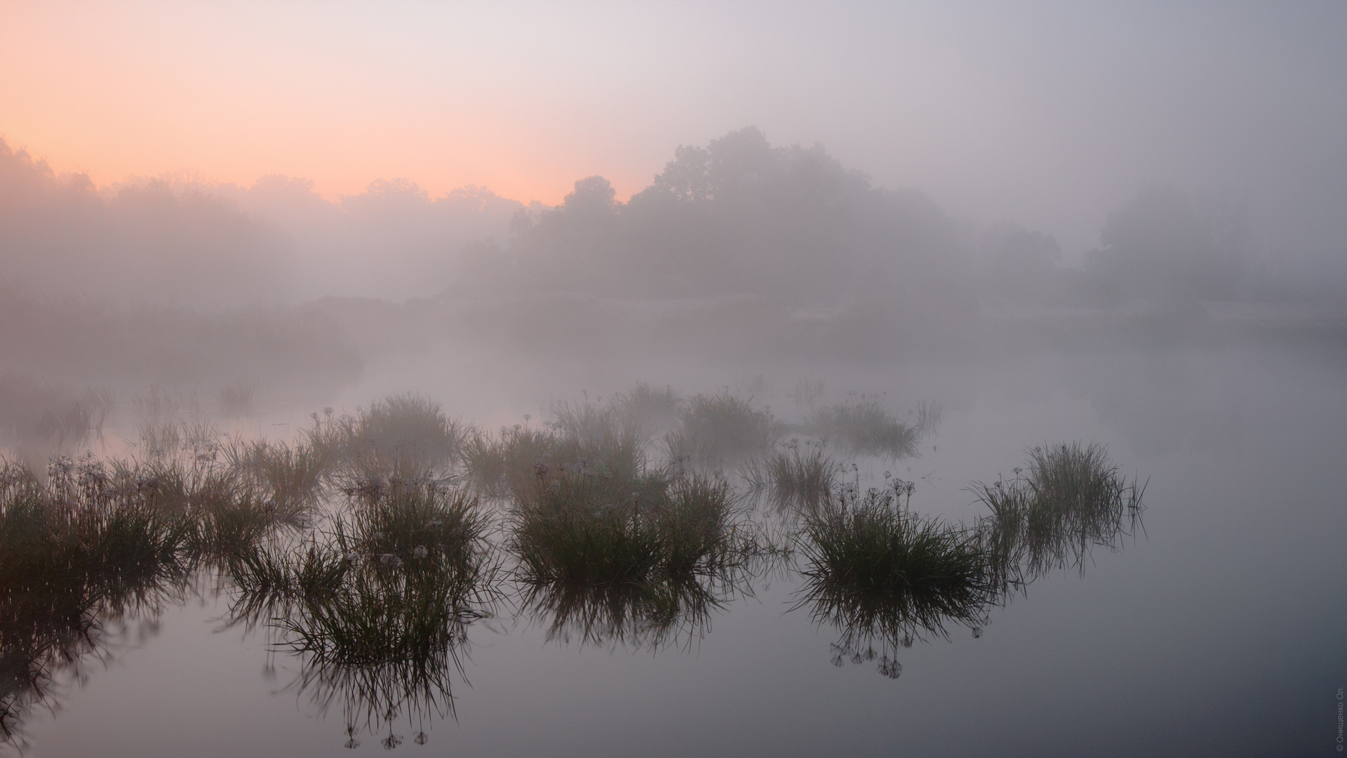 Morgen am Moorhuhnfluss.