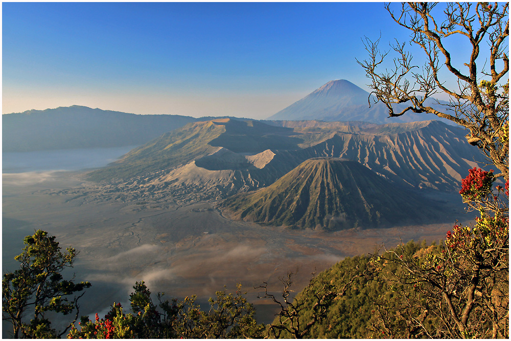 Morgen am Mt. Bromo