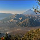 Morgen am Mt. Bromo