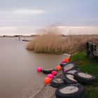 Morgen am Neusiedler See