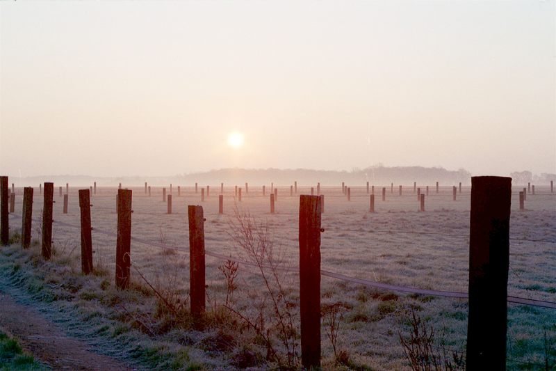 Morgen am Niederrhein