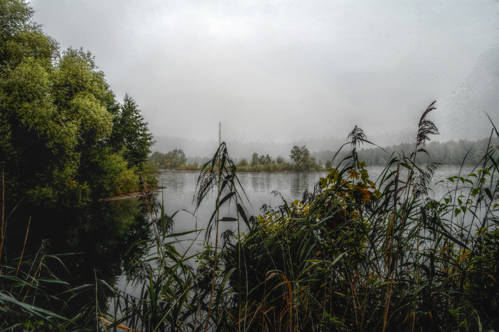 Morgen am Rohrköpflesee bei Linkenheim