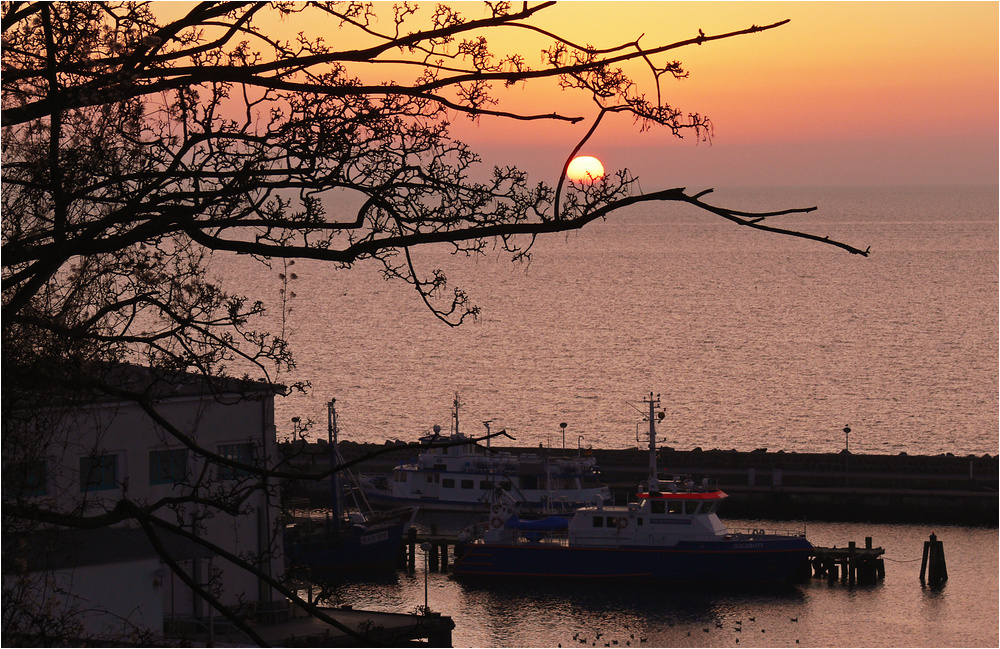 Morgen am Sassnitzer Hafen