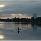 Morgen am Schiersteiner Bootshafen