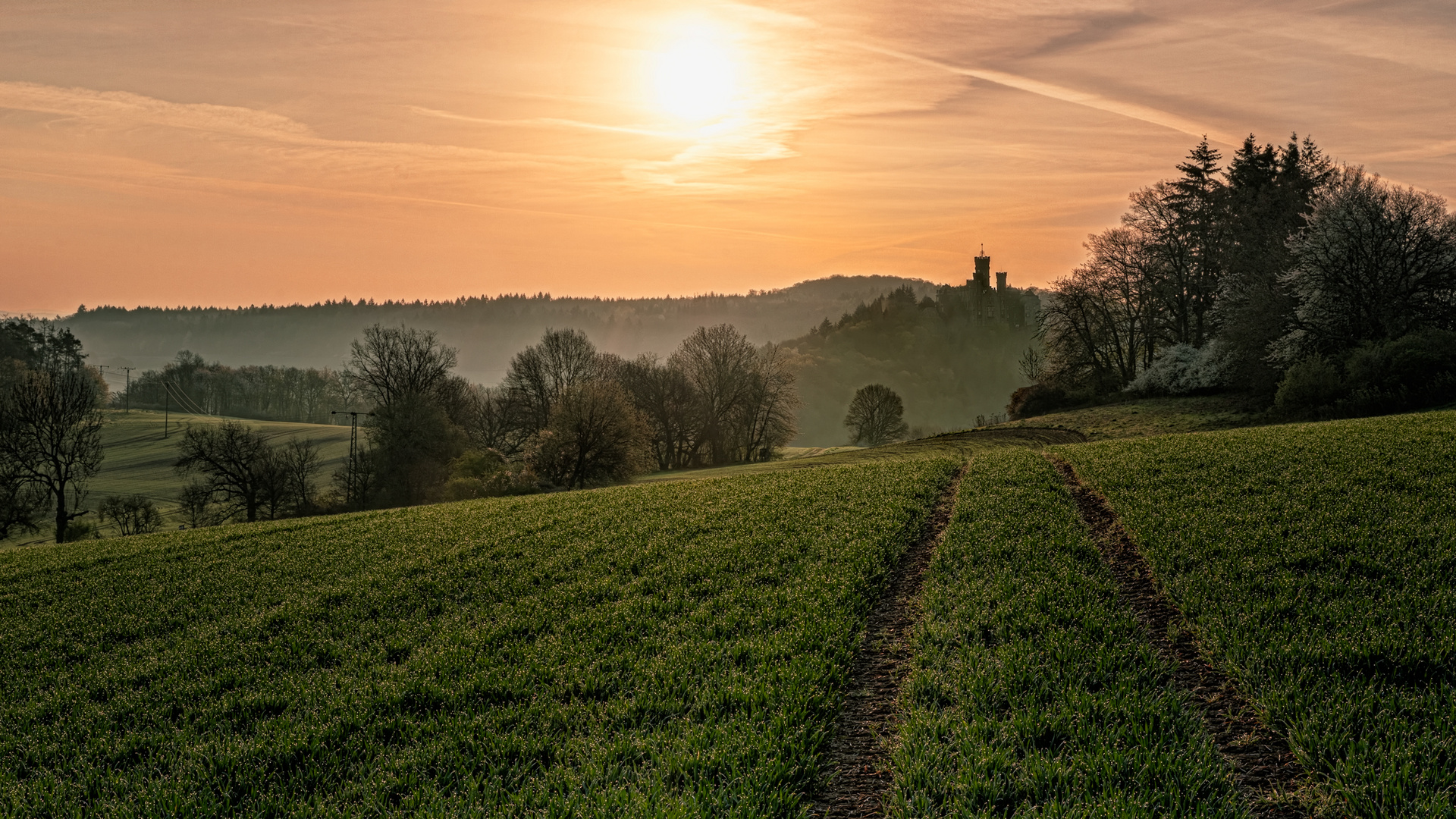 Morgen am Schloß Schaumburg