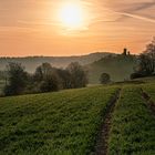 Morgen am Schloß Schaumburg