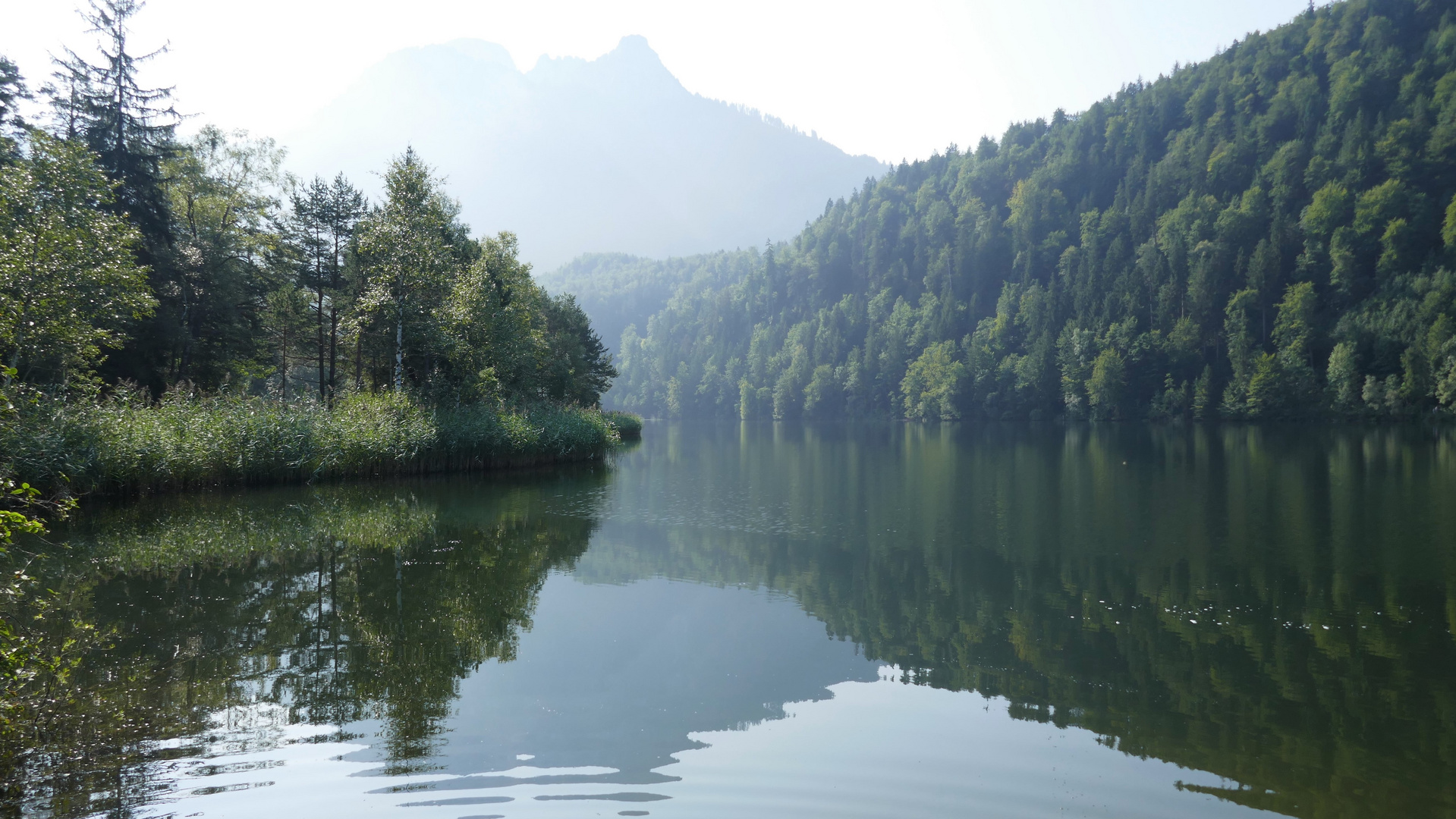 Morgen am Schwansee