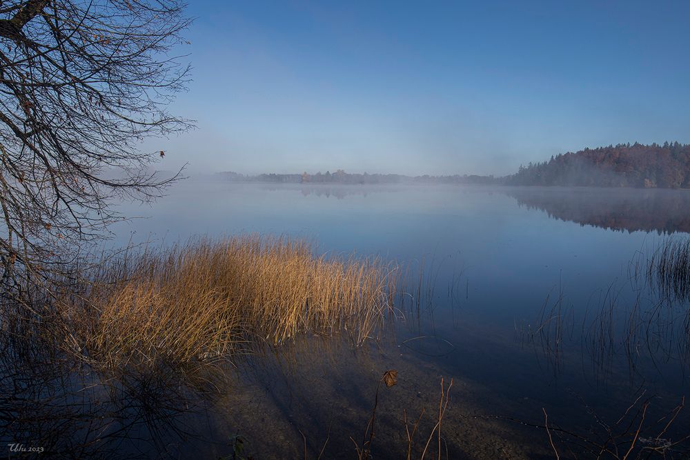 Morgen am See