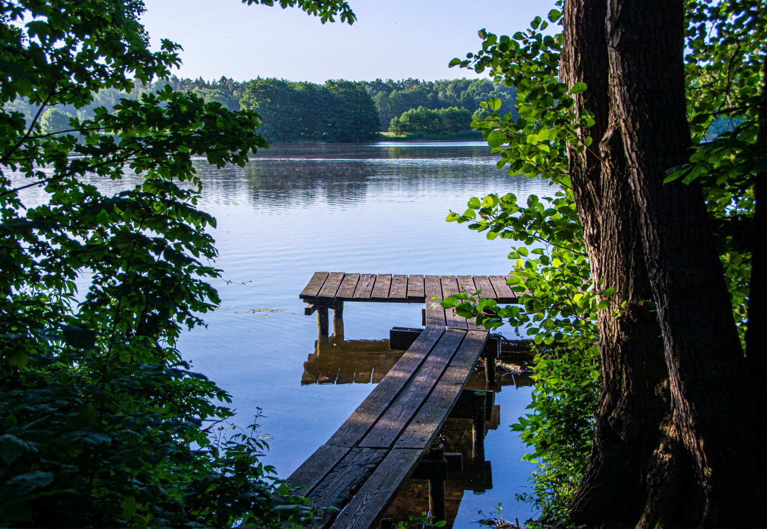 Morgen am See