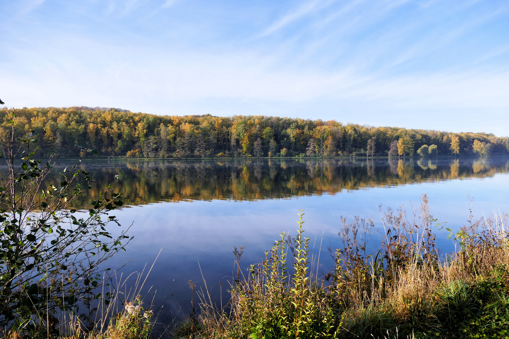 Morgen am See