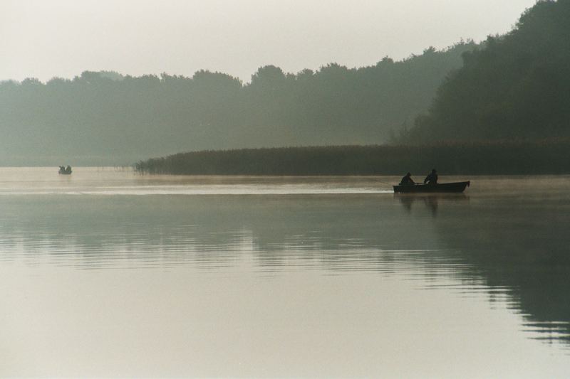 Morgen am See