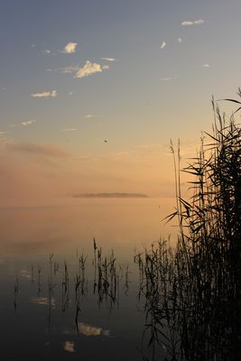 Morgen am See