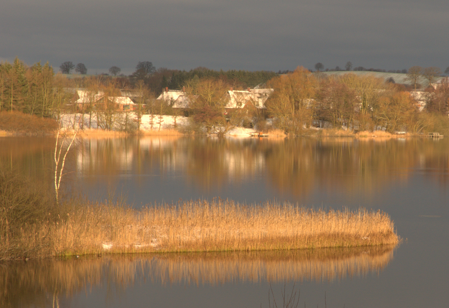 Morgen am See