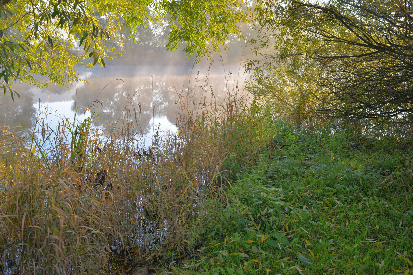 Morgen am See (en el lago por la mañana)