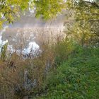 Morgen am See (en el lago por la mañana)