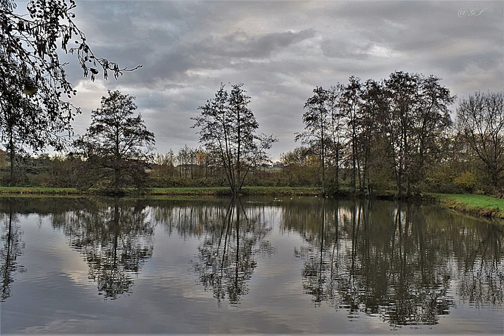 am Teich Foto & Bild spezial, bäume, wolken Bilder auf