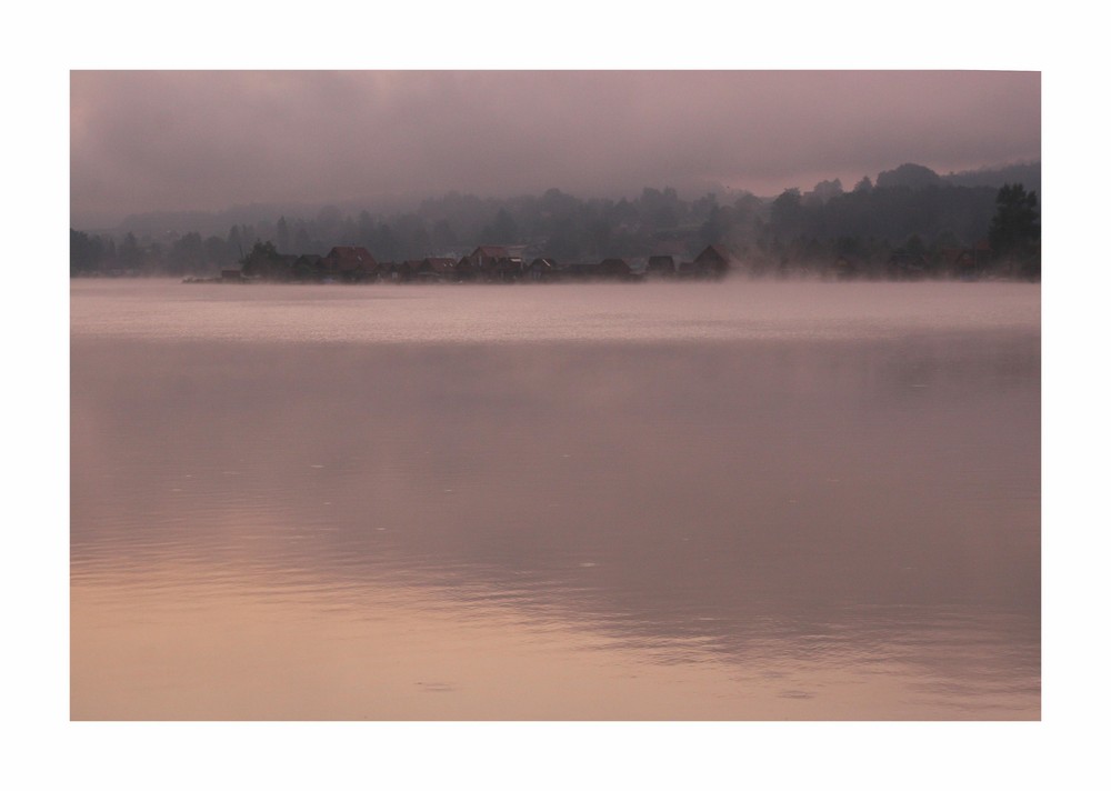 Morgen am Waldschacher See