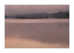 Morgen am Waldschacher See