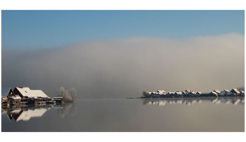 Morgen am Waldschacher See