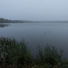 Morgen am Warnker See