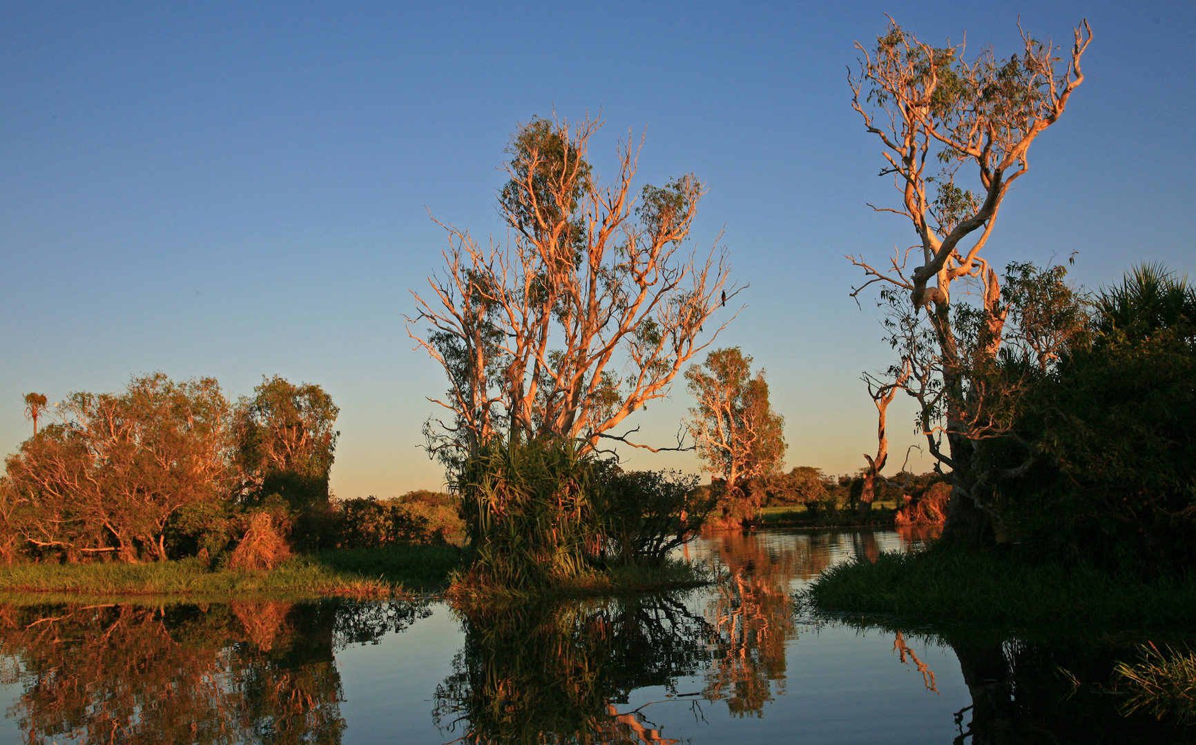 Morgen am Yellow River, NT, Australien