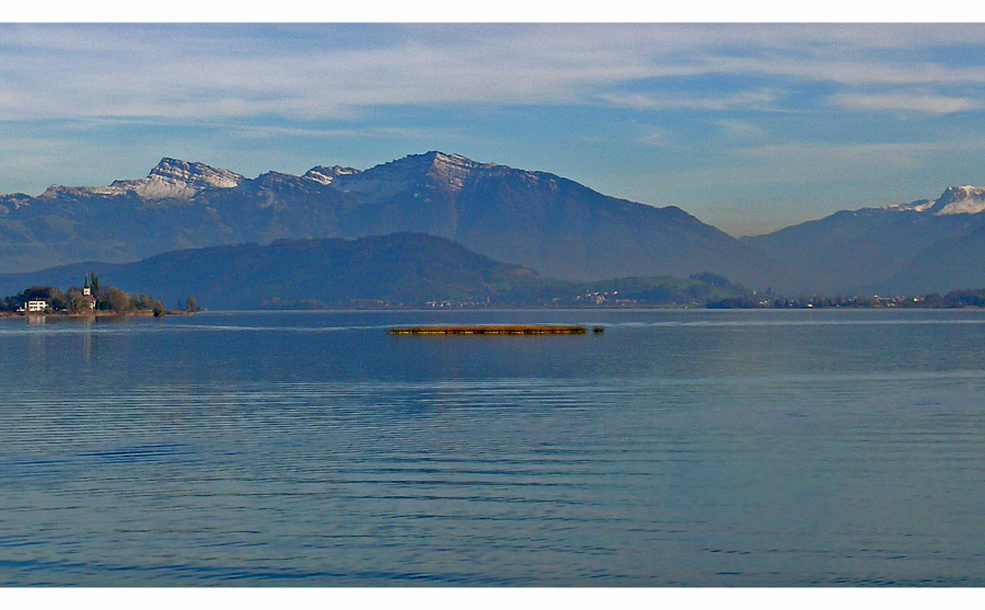 Morgen am Zürichsee