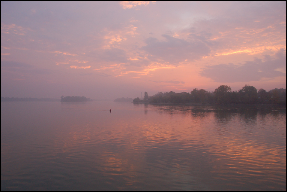 Morgen an der Donau
